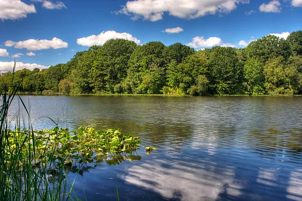 Sold by Agency Real Estate Services LLC | media 13