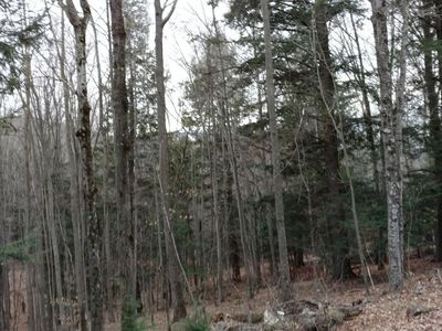 Old Rd, Windham, NY, 12496
