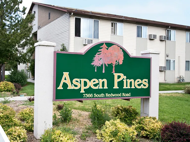 Aspen Pines — Photo 306