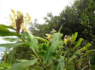 16-1160 Ao Rd LOT 2619, Mountain View, HI 96771