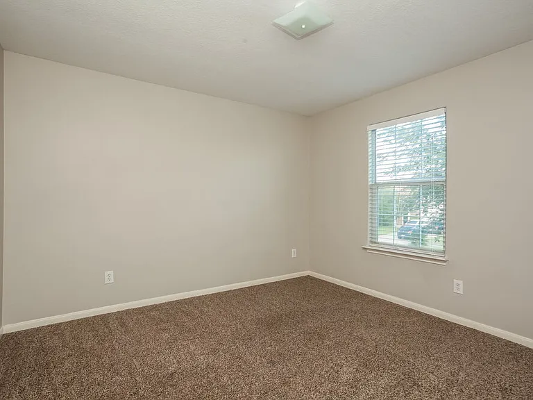 3922 Hollow Cove Ln — Photo 10