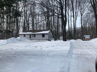 3064 Birchdale Dr, Johannesburg, MI 49751