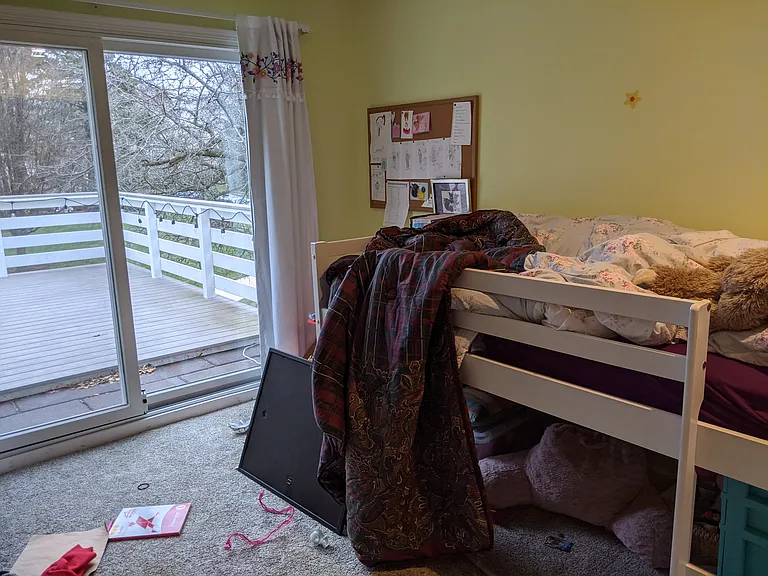 9 White Pine Trl — Photo 16