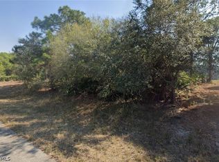 125 Rosemont Pl, Labelle, FL 33935