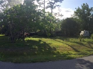 2340 McMichael Rd, Saint Cloud, FL 34771