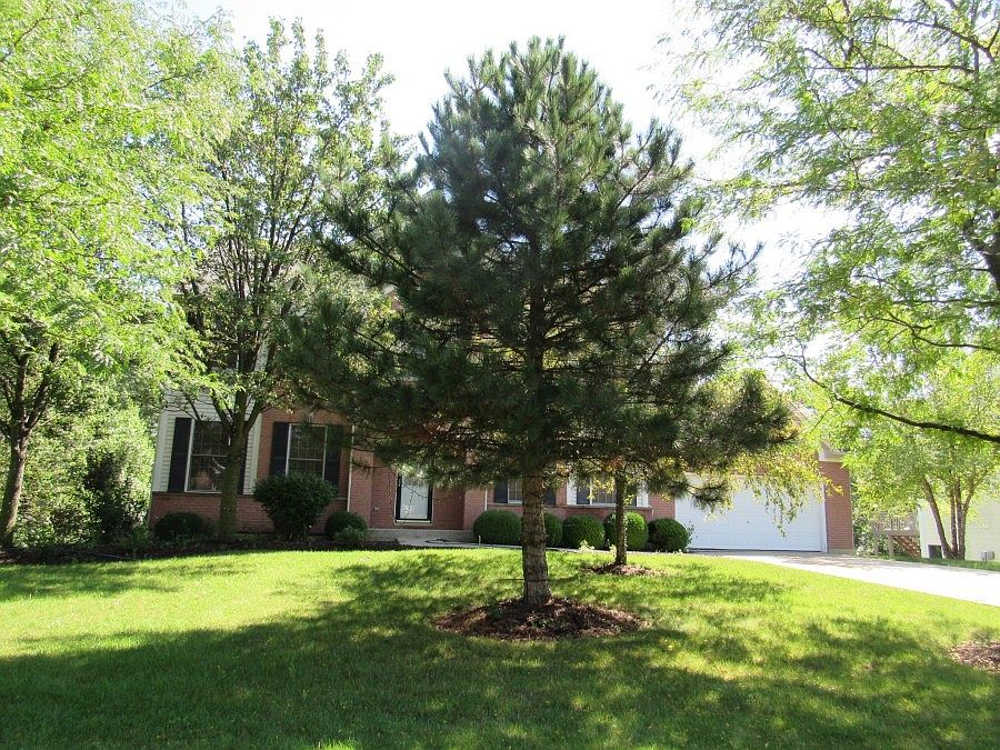1st image of 1271 Bison Ln