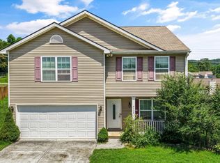 9409 Calla Lilly Ln, Mascot, TN 37806