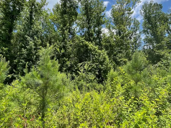 0 Rocky Hill Rd, Camden, MS 39045