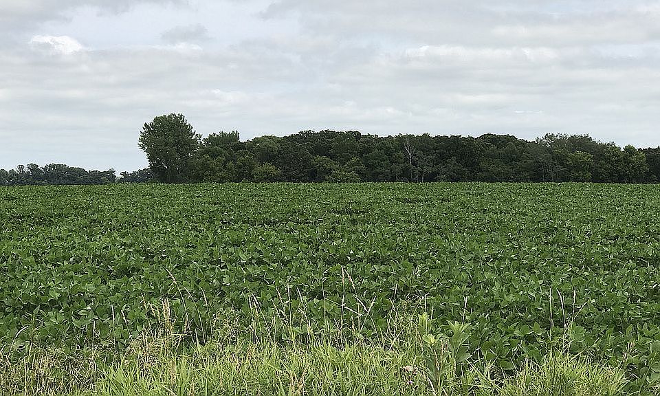 1/4 mile by 1/4 mile
Square