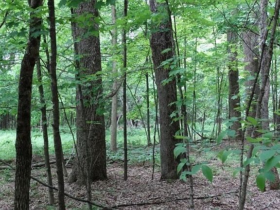2nd image of 1946 County Highway 26