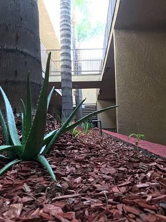 2nd image of 5650 York Blvd APT 203