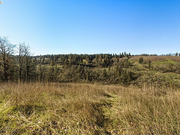 5th image of Dry Creek Rd