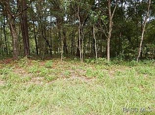 239 N Rooks Ave, Inverness, FL 34453