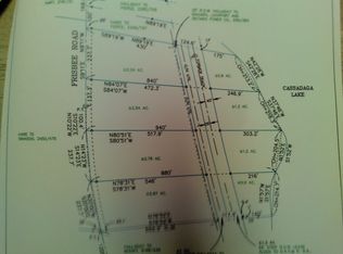 Frisbee Rd, Cassadaga, NY 14718