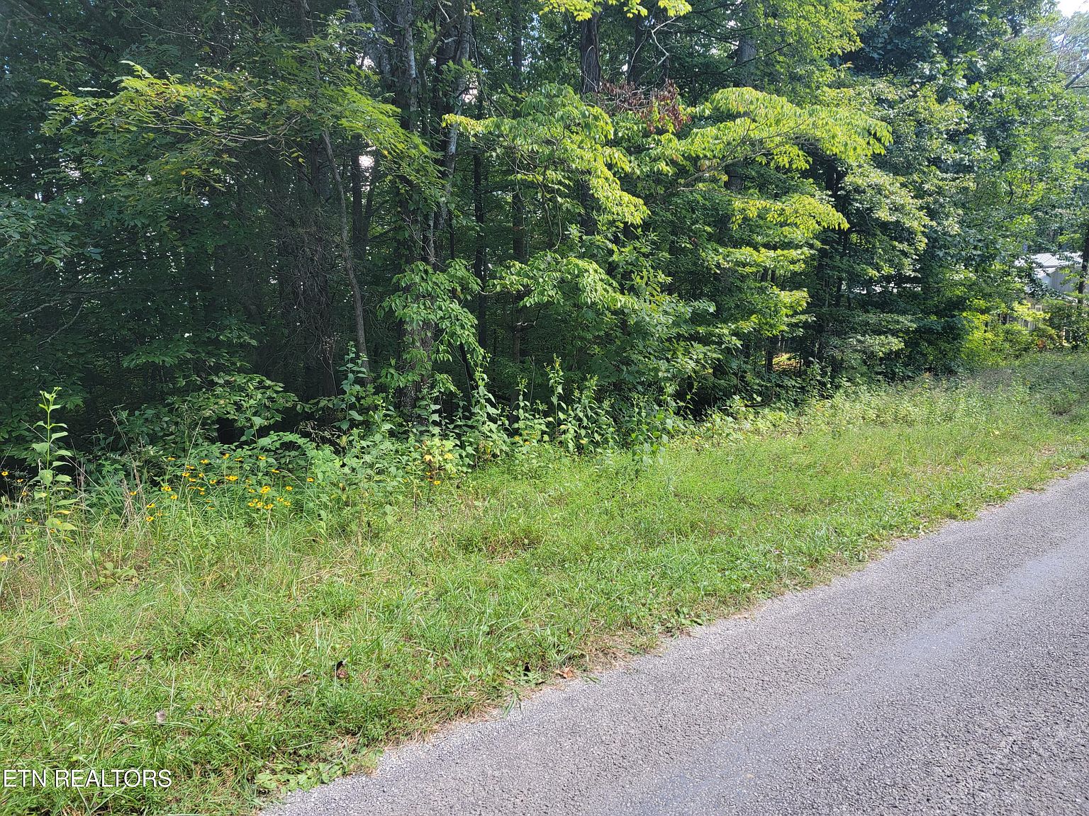 LOT 15 Riverview Rd, Maynardville, TN 37807 MLS 1238682 Zillow