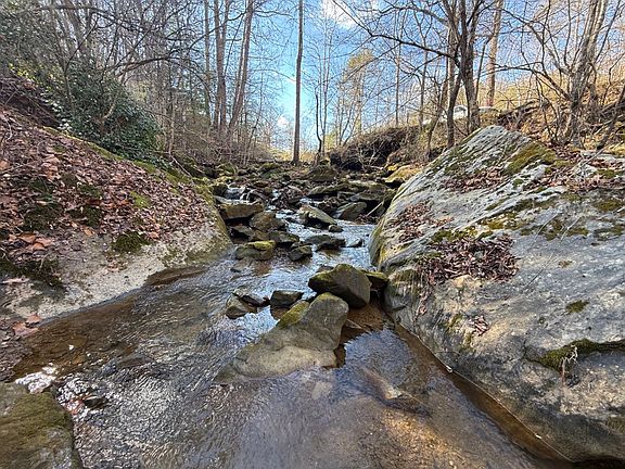 Beautiful Lick Creek along the south boundary