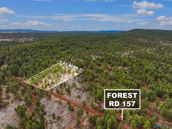 LOT-25H Forest Rd #157, Fort Wingate, NM 87316