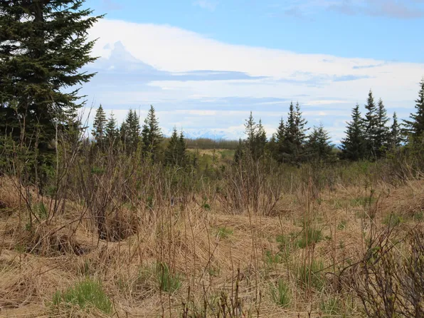 17354 Hyila Ln, Ninilchik, AK 99639