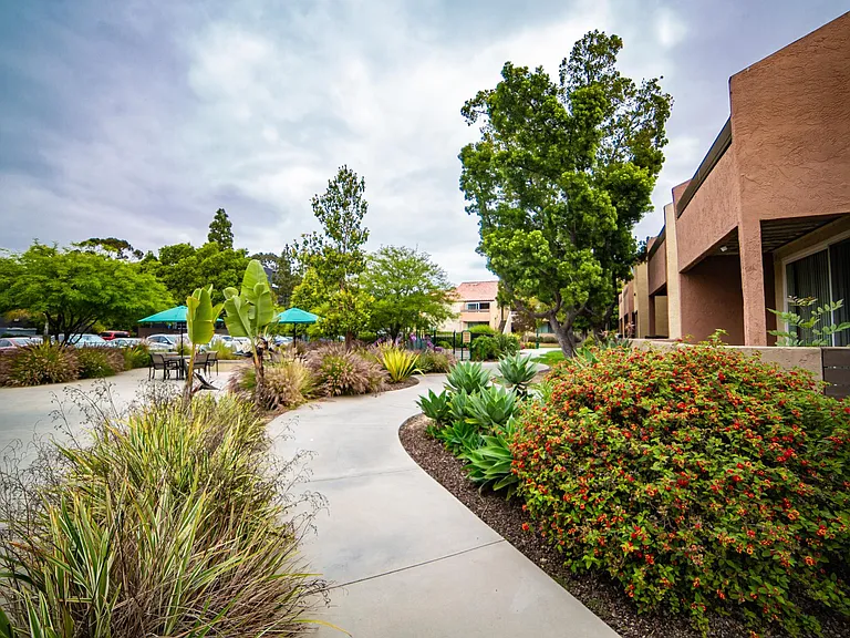 Lush common area!