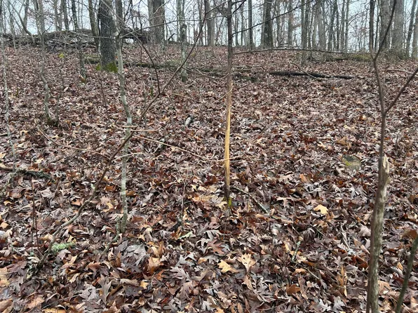 000 County Road 6388, Newburg, MO 65550