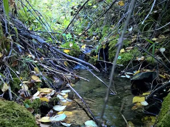 Nhn Lamaraux Creek Rd, Paradise, MT 59856