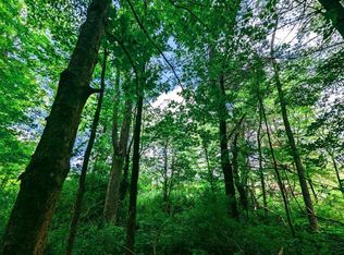 137 Caroline Depot Rd, Brooktondale, NY 14817