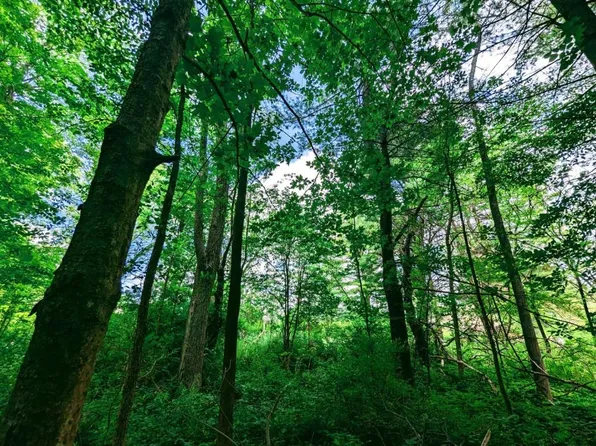 137 Caroline Depot Rd, Brooktondale, NY 14817