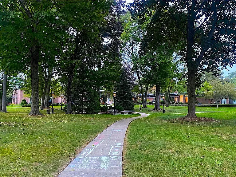Walking Paths