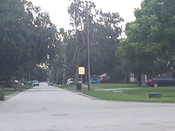 4th image of 909 Tall Pine Dr