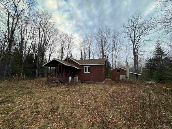 Ferguson Rd, Rumely, MI 49826