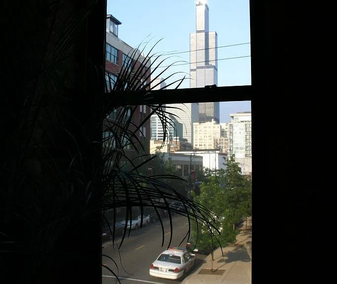 Clear view of Sears Tower