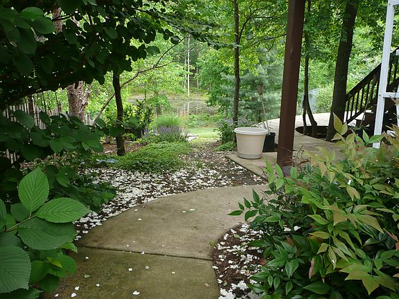 4th image of 13211 Willow Point Dr