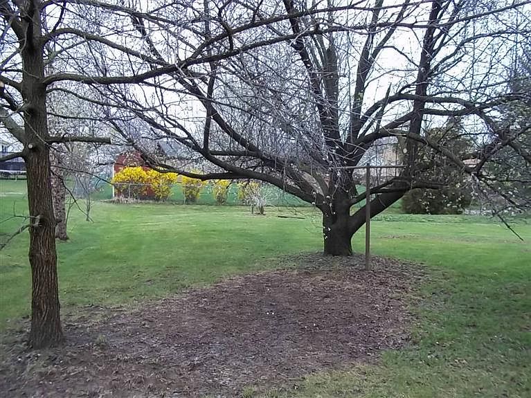 1st image of 8011 Honeysuckle Ln