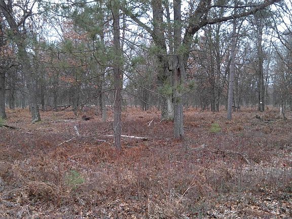 4th image of 6623 W Beaver Creek Dr
