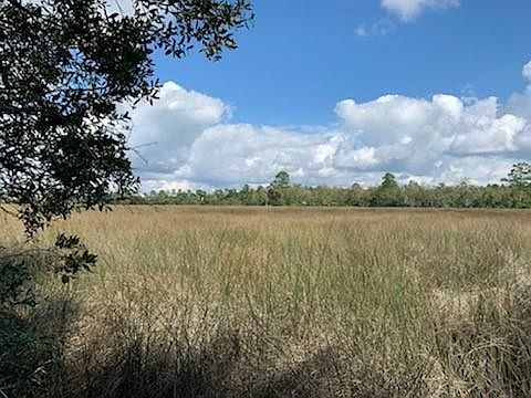 3rd image of 102 Foxcreek Blvd