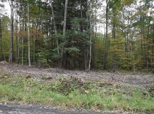 262 White Birch Lake Rd, Windsor, NY 13865