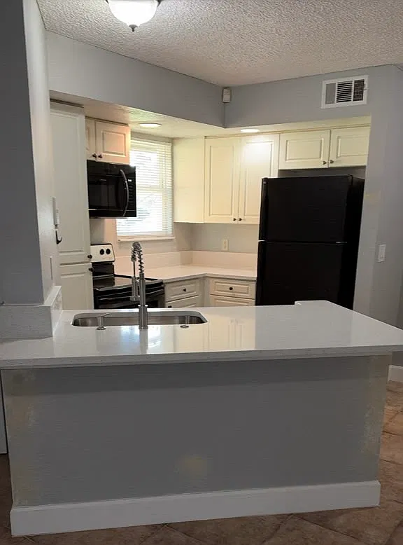 2 bed, 934 sqft, $1,450 — Photo 2