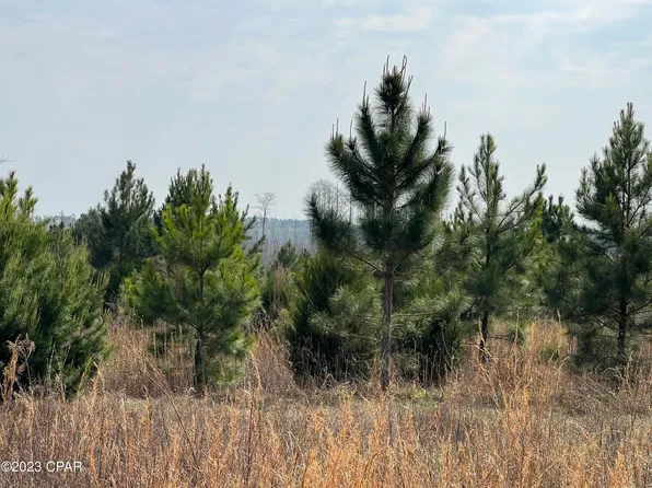 0 Eagle Trl, Alford, FL 32420