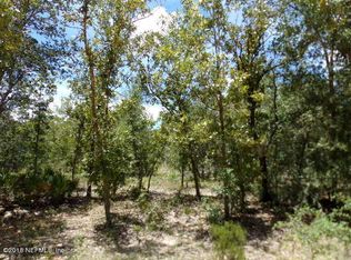 131 Naples St, Interlachen, FL 32148