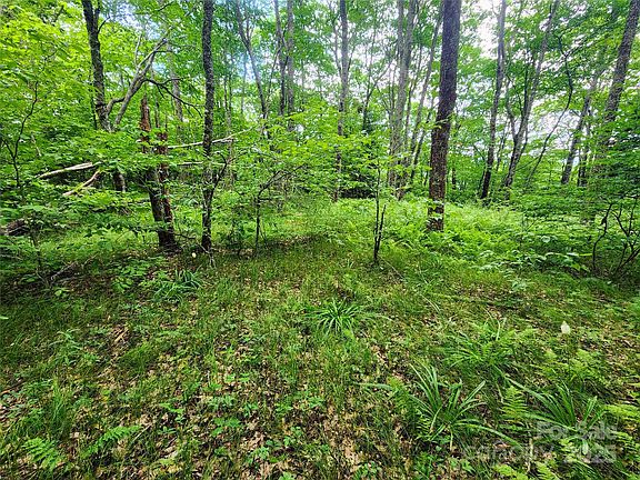 4th image of 99999 Spruce Patch Ln