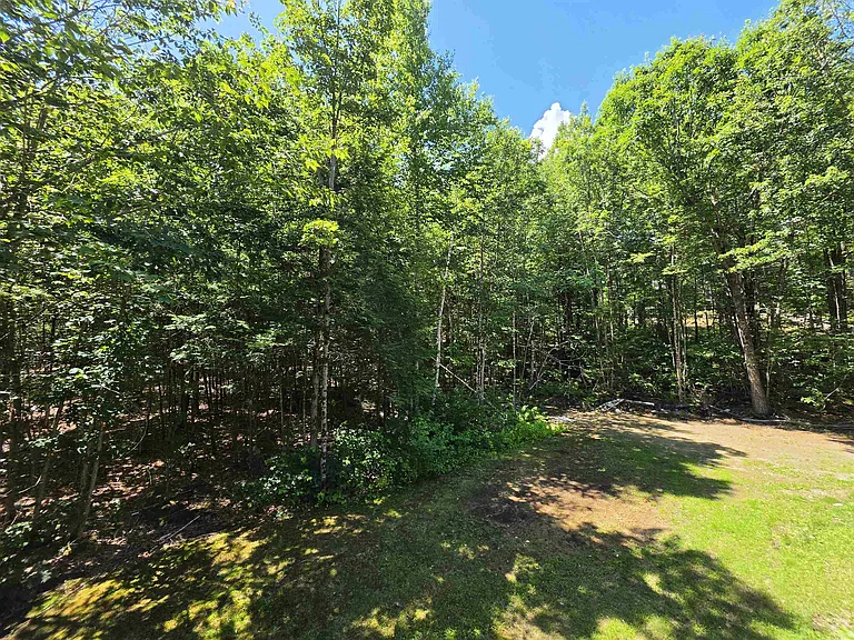 1890 Franklin Pierce Hwy — Photo 22