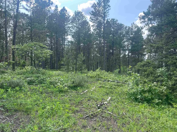 Tbd Redpath Creek Rd, Lead, SD 57754