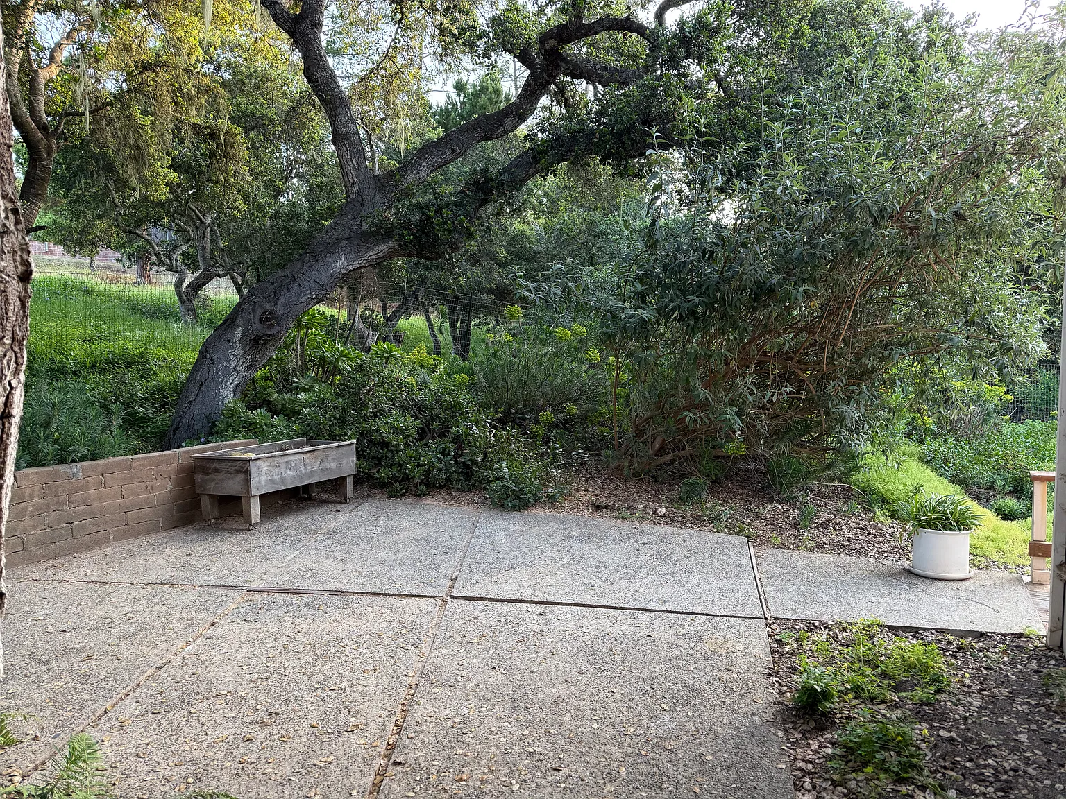 2 bed, 980 sqft, $3,950 — Photo 2