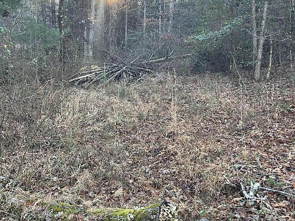 3rd image of 116 Ernie Hurst Rd
