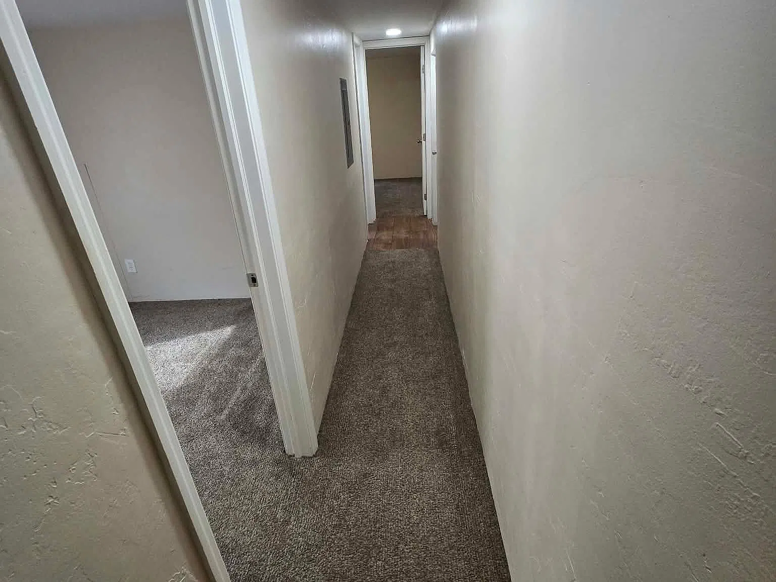 3 bed, $1,600 — Photo 3