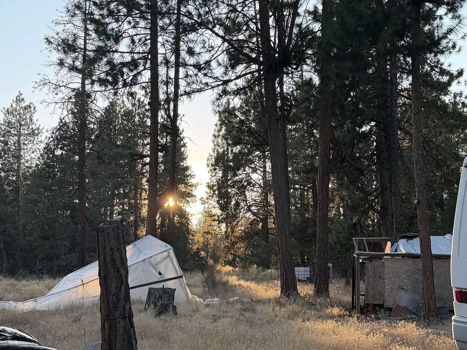 1 bed, $1,500 — Photo 4