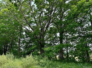 0 W Coulter Rd, Lapeer, MI 48446