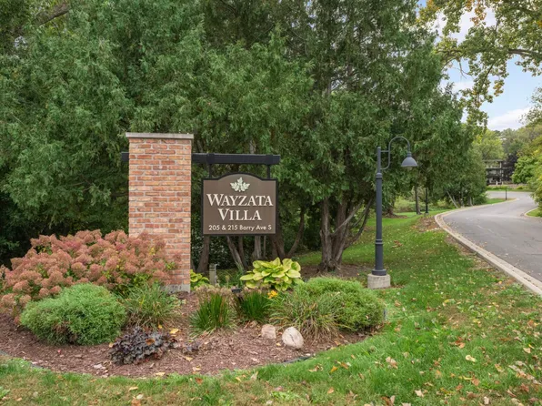 205 Barry Ave S APT 305, Wayzata, MN 55391