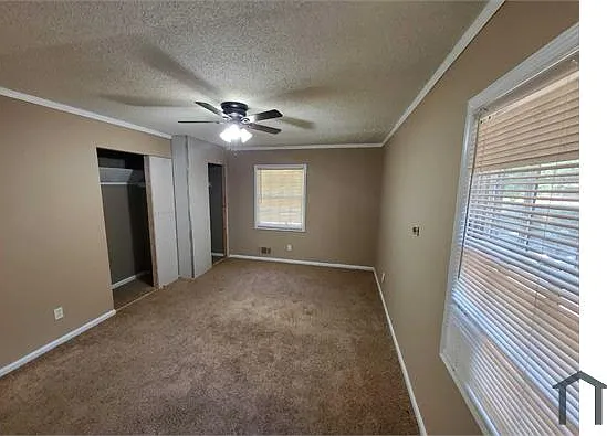 1 bed, $900 — Photo 2