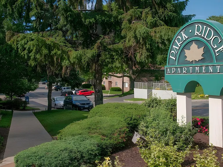 Park Ridge — Photo 11